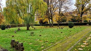 Allerheiligen Bild: Karin Bohn